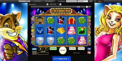 Cats and Cash im Casino Euro