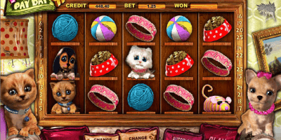 Der Spielautomat Pets Pay Day im 888 Casino