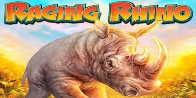 Raging Rhino Videoslot